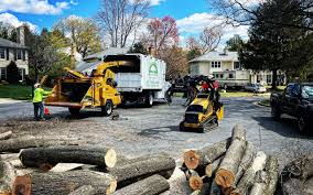Best Tree Mulching  in Hopkinsville, KY